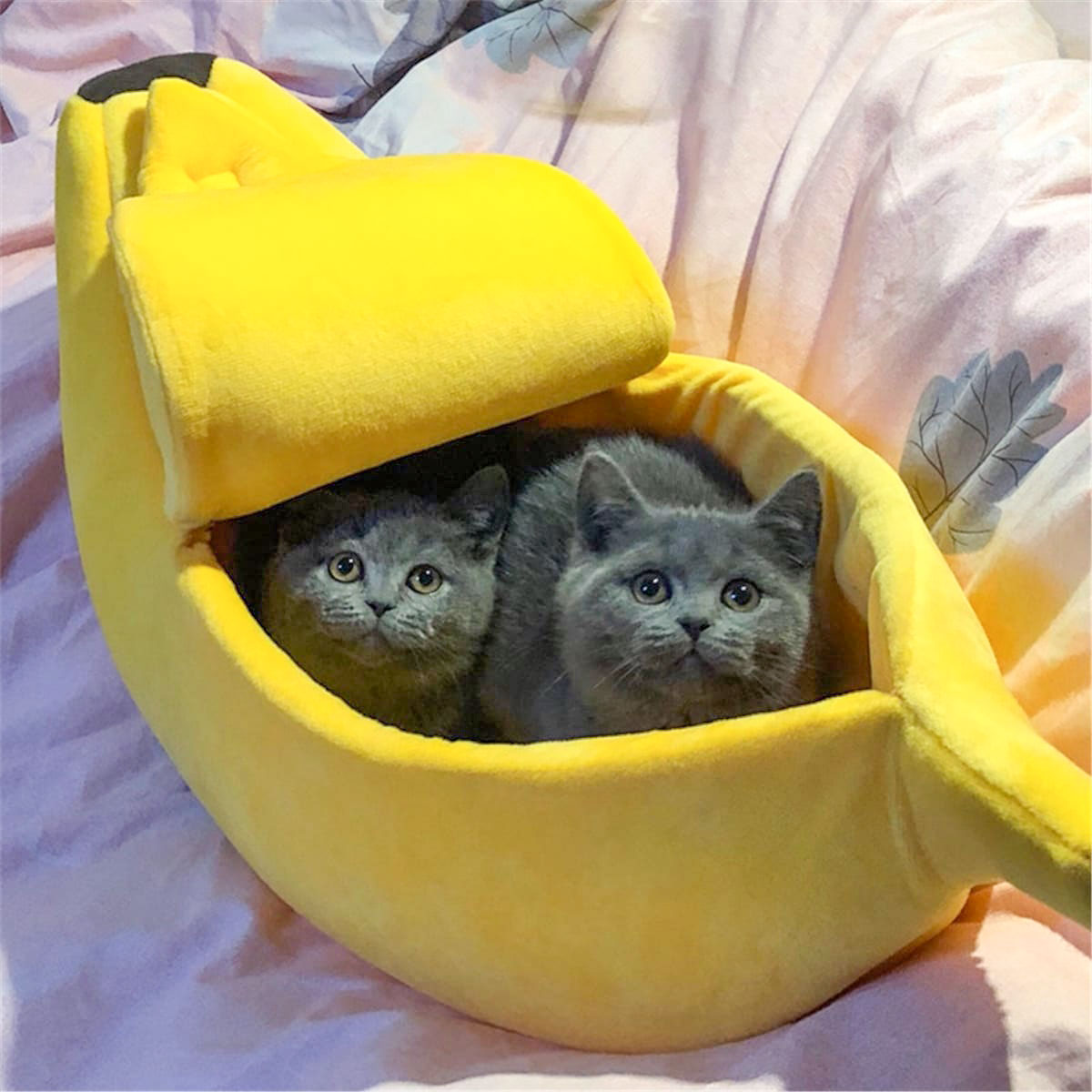 Banane panier pour chat - /medias/166633977882.jpg